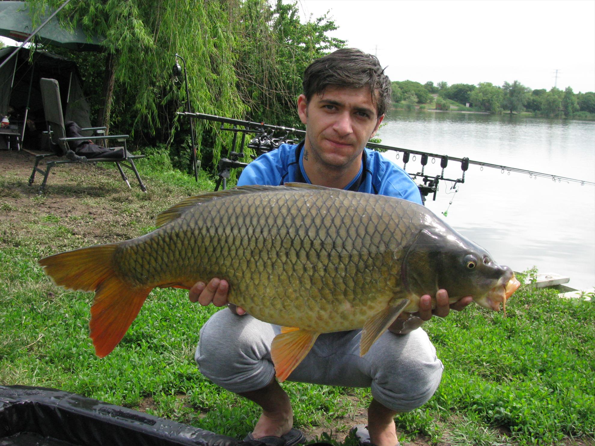 Poze 19-21.05.2012 Tancabesti Avicola 2 - img0155.JPG